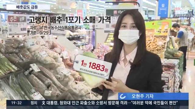 韩国大白菜涨价至62元一棵怎么回事