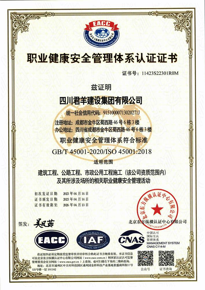 职业康健治理系统证书