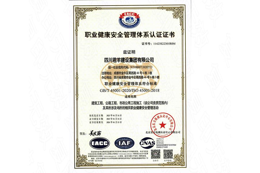 职业康健治理系统证书