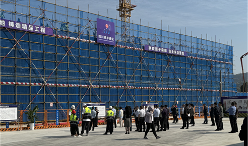 阆中市人大主要向导调研阆中市医疗康复中心建设项目